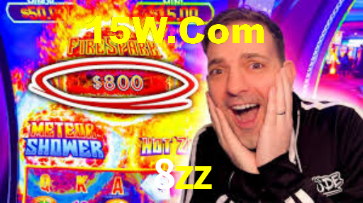 8zz.com